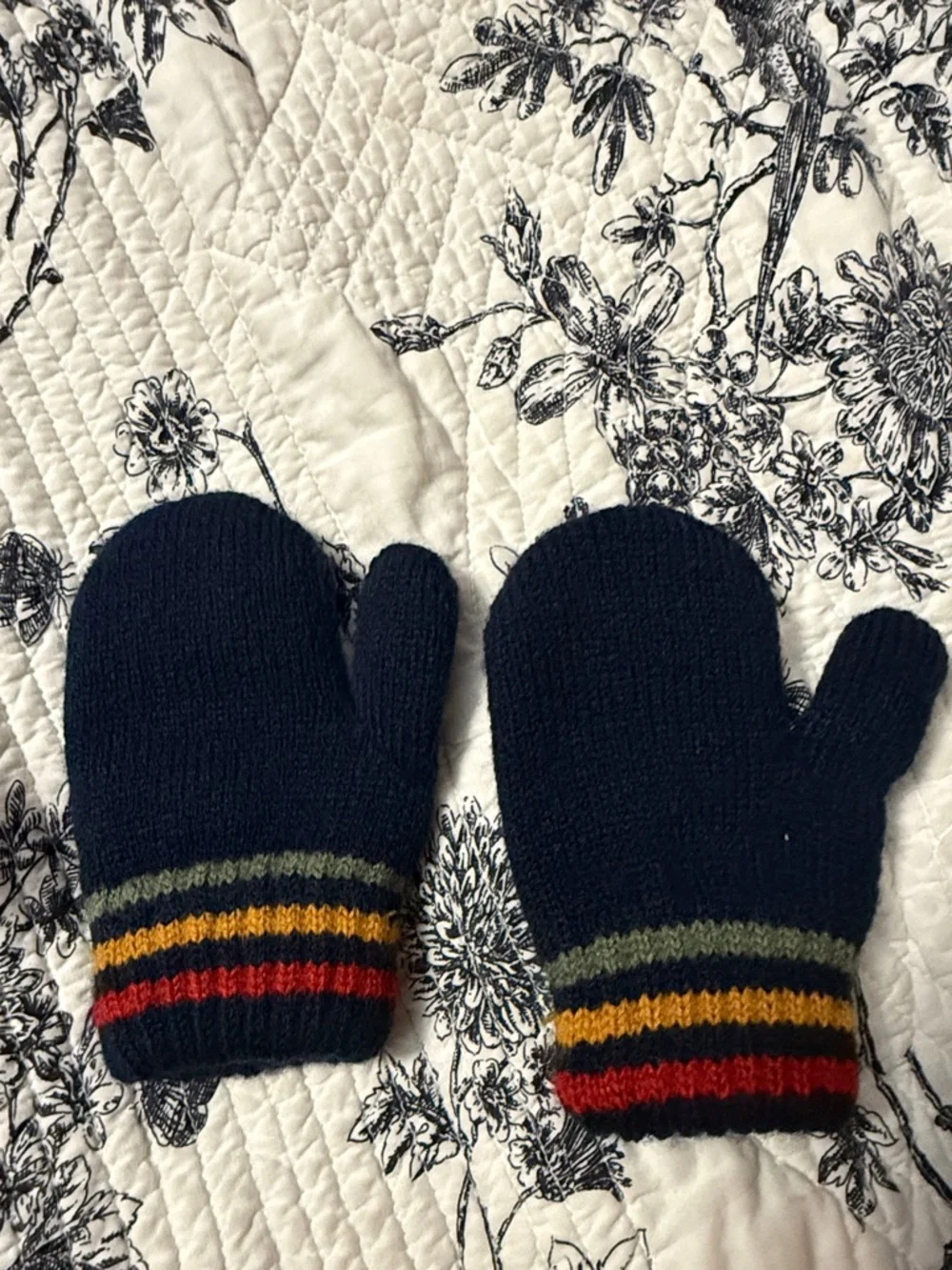 The Children’s Place beanie and mittens 12-24M Dinosaur
